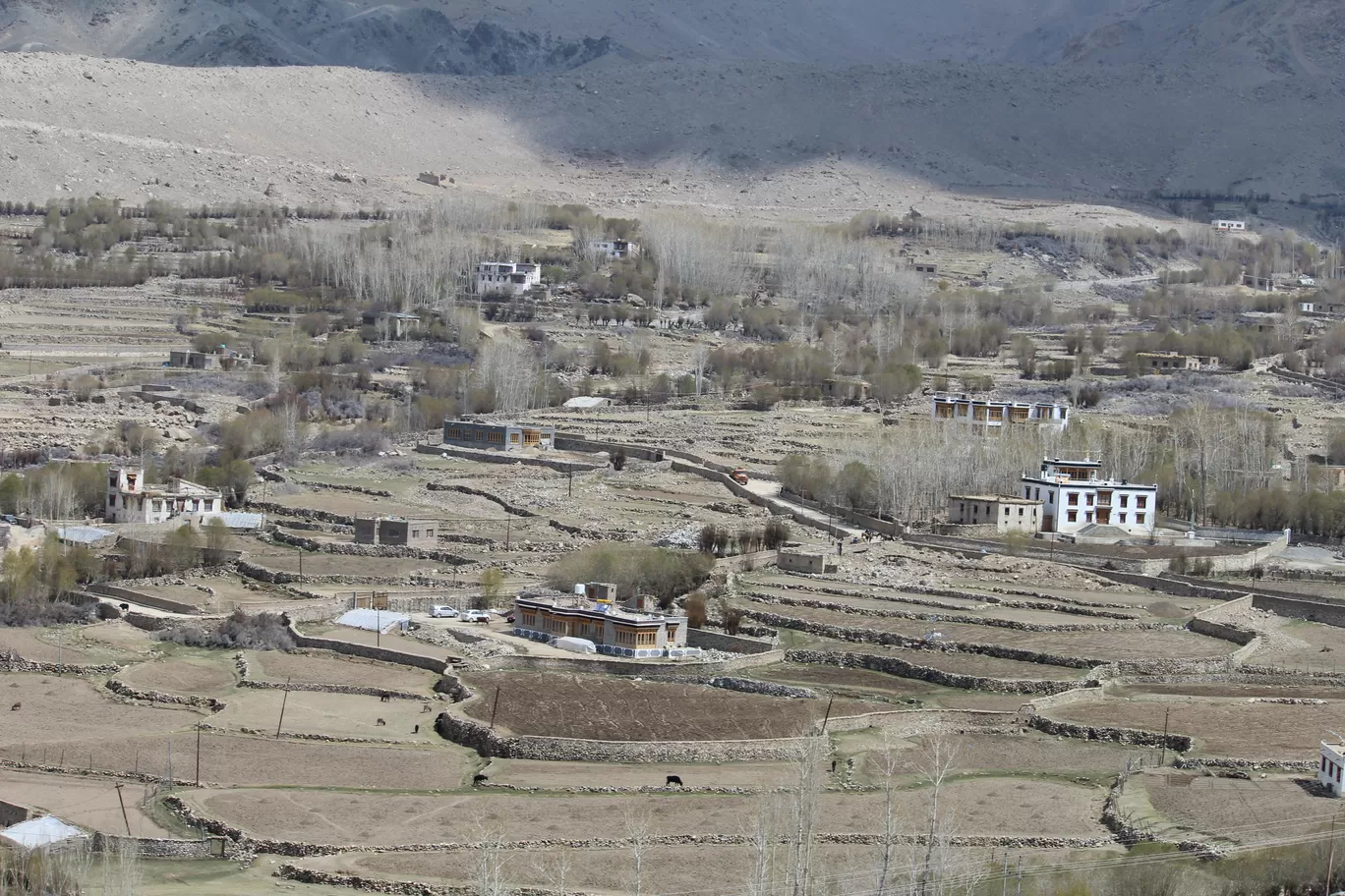 Photo of Alchi Monastery - Choskhor By MONALISA (hungrywanderer)