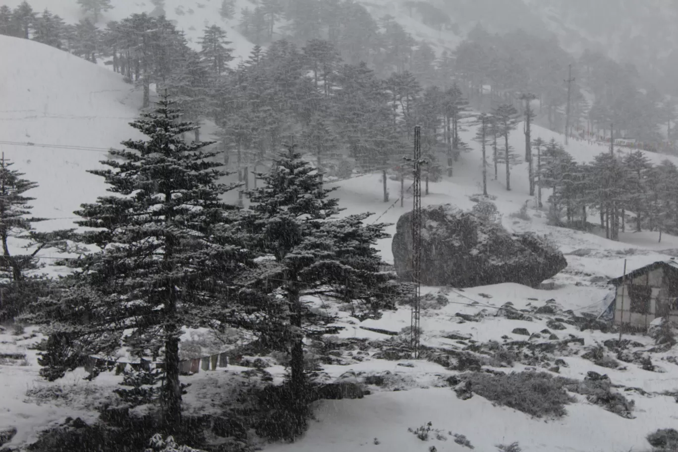 Photo of Sela Pass By MONALISA (hungrywanderer)