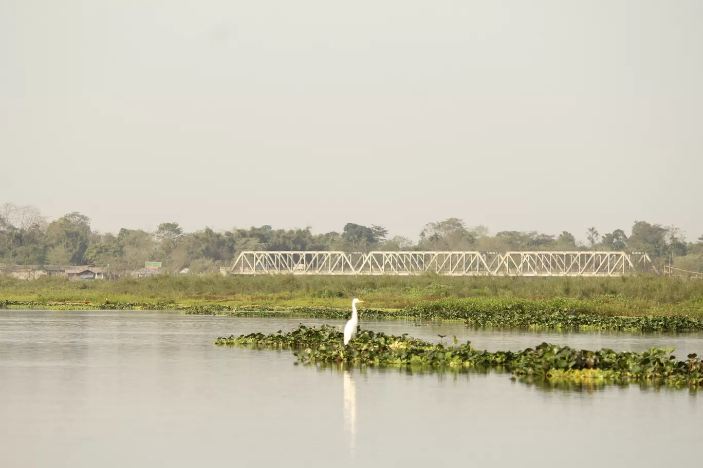 Photo of Maguri Bill By MONALISA (hungrywanderer)