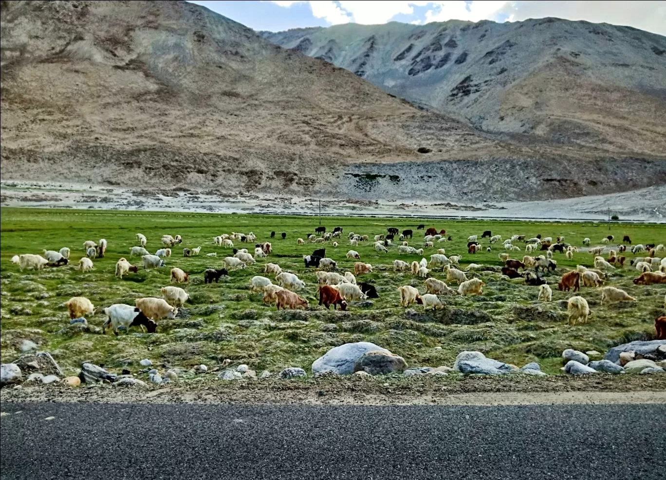 Photo of Ladakh By Abhishek Kajave