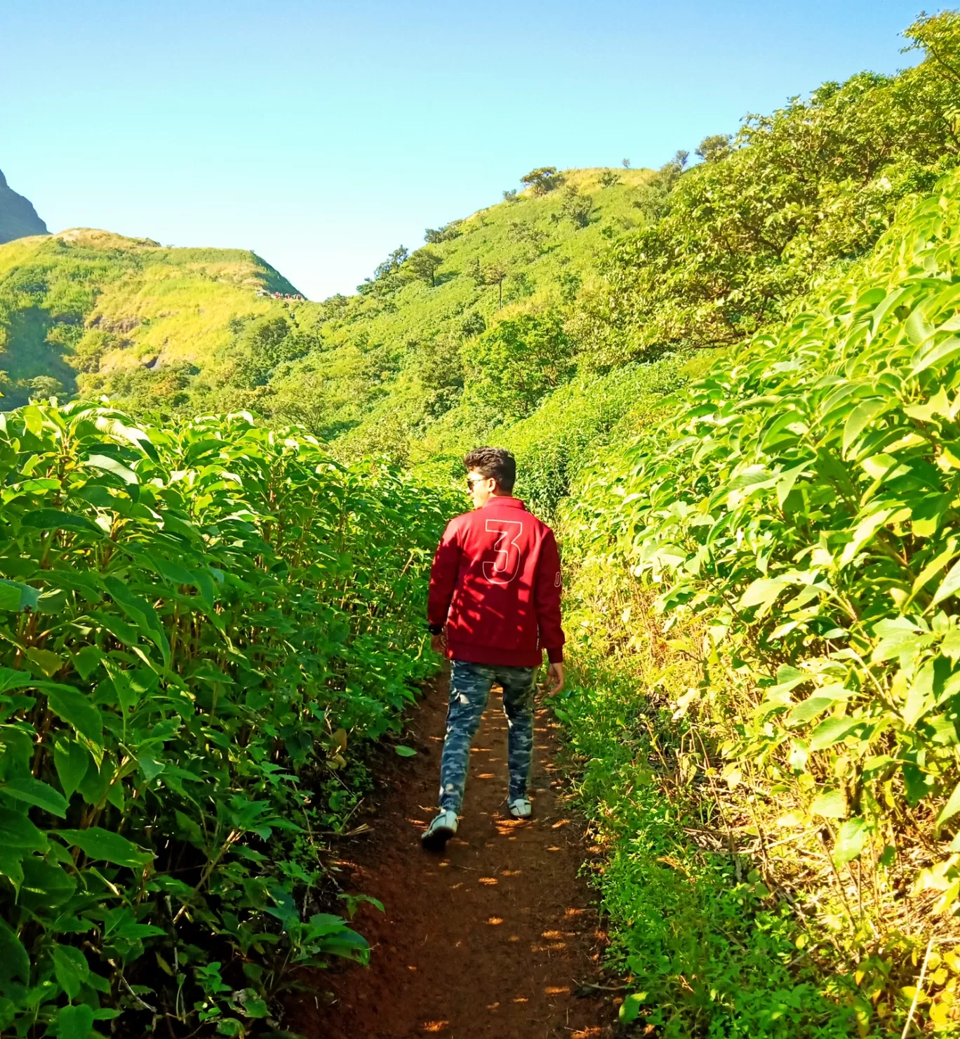 Photo of Torna Fort By Abhishek Kajave