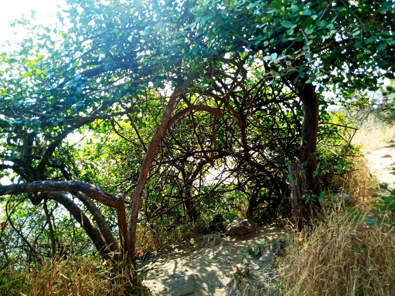 Photo of Purandar fort By Abhishek Kajave