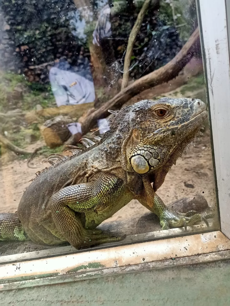 Photo of Nandankanan Zoological Park By manish kumar