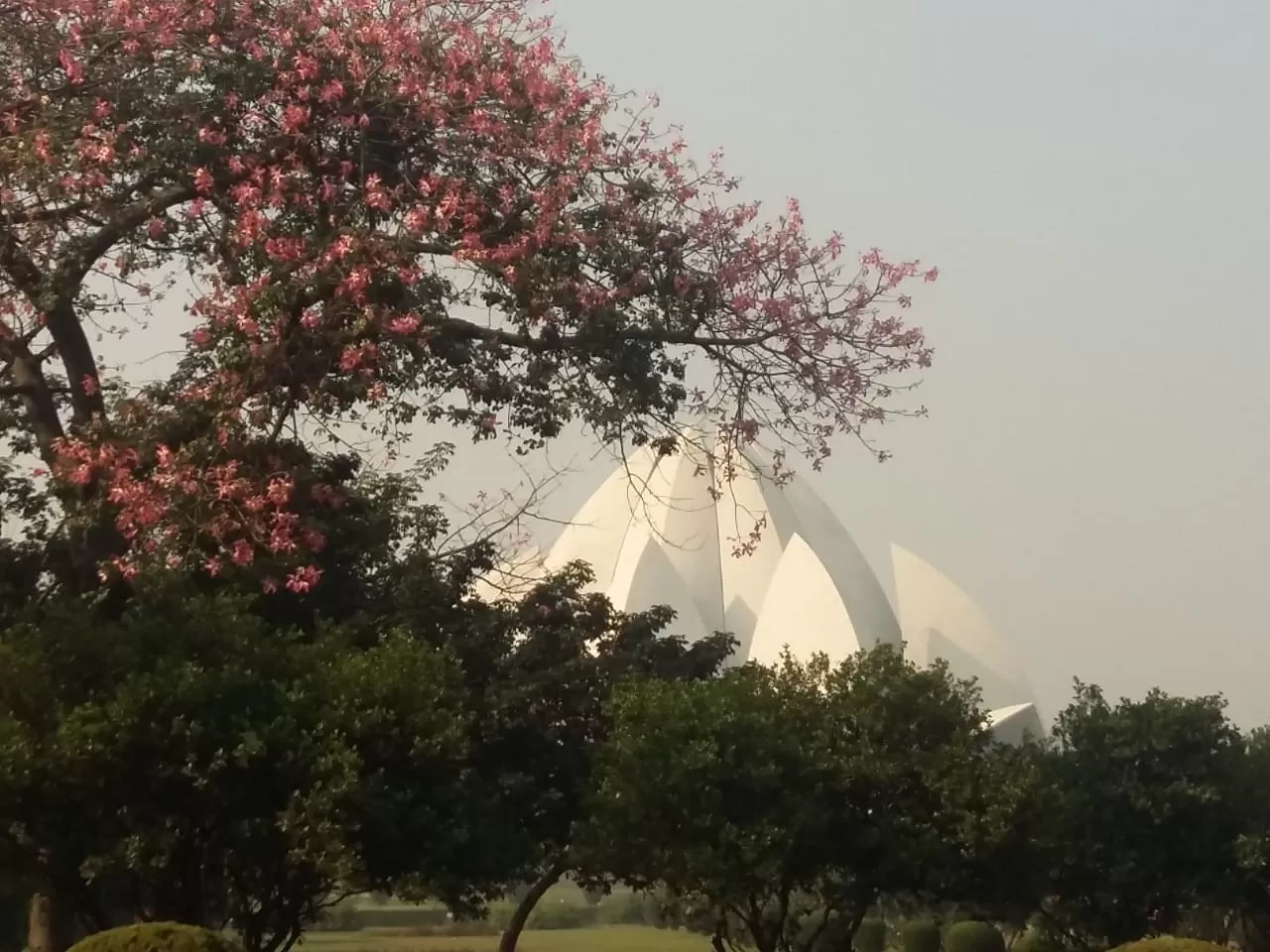 Photo of Delhi By Travexpedia !