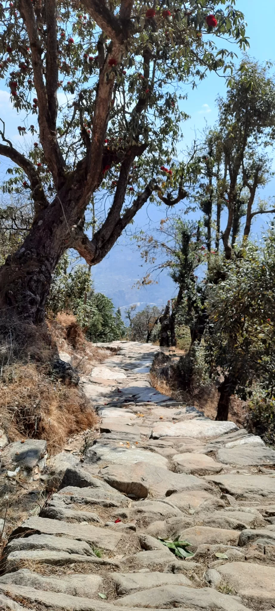 Photo of Deoria Tal By Amarsingh Shinde