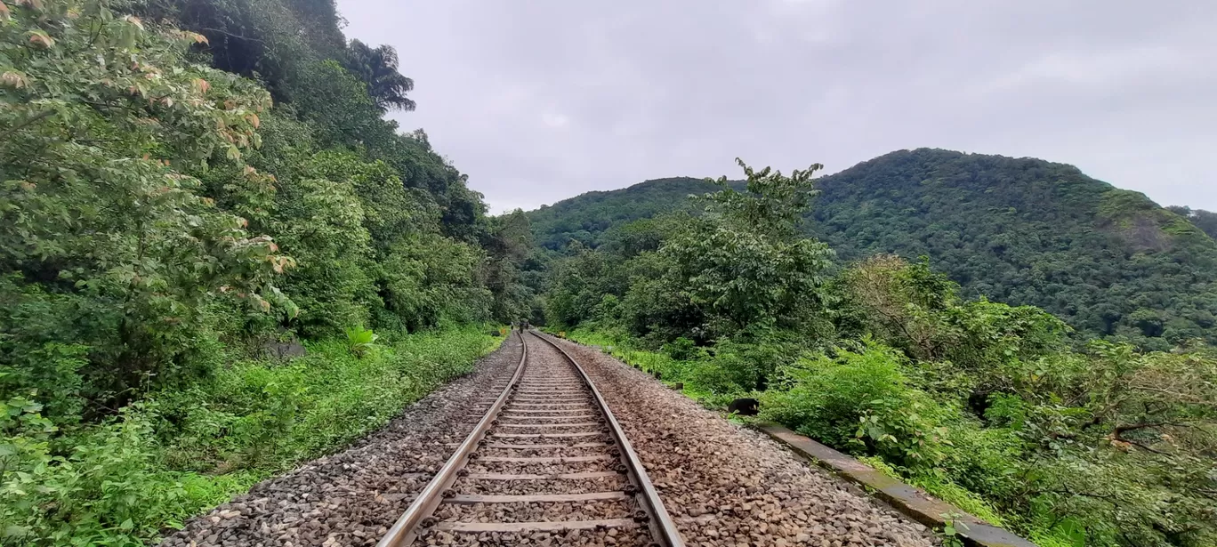 Photo of Dudhsagar Falls By Amarsingh Shinde