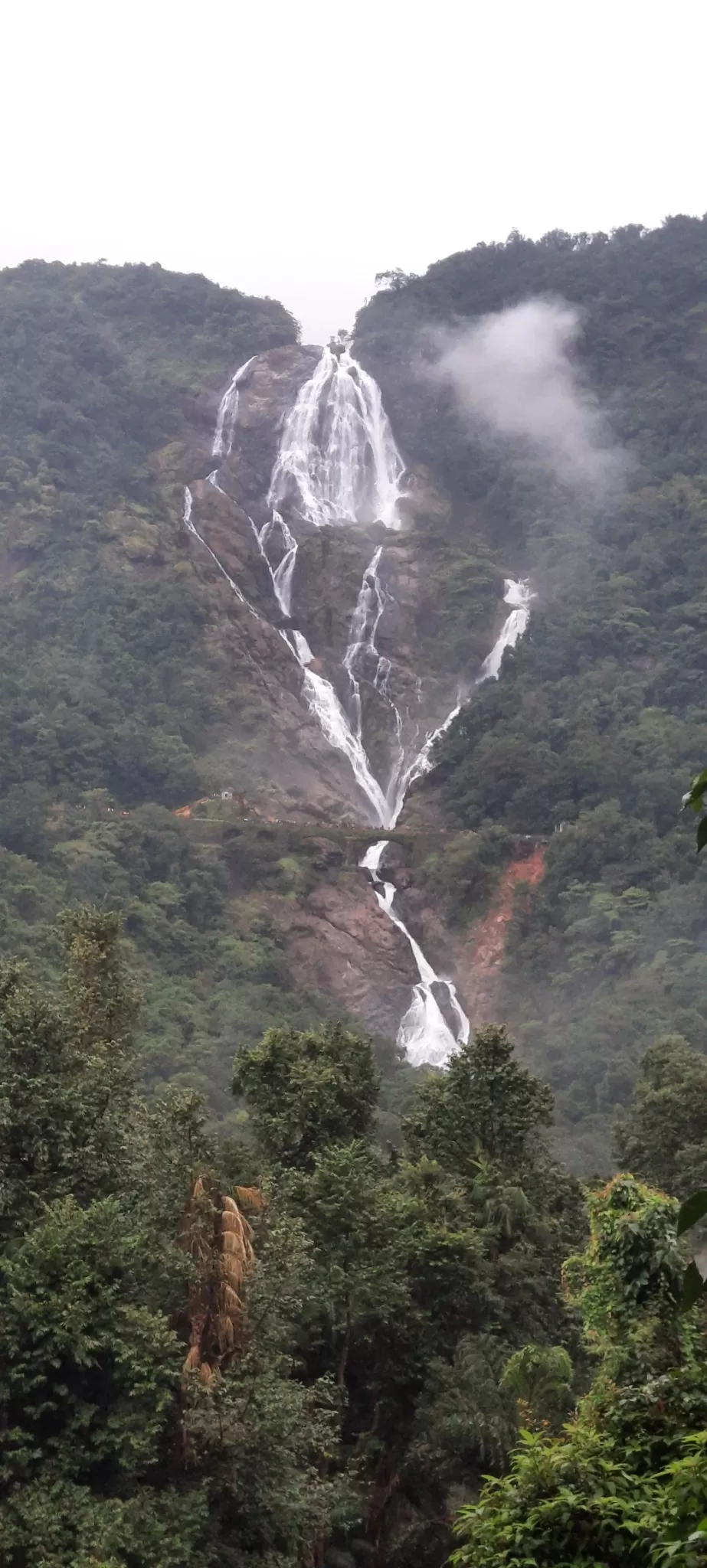 Photo of Dudhsagar Falls By Amarsingh Shinde