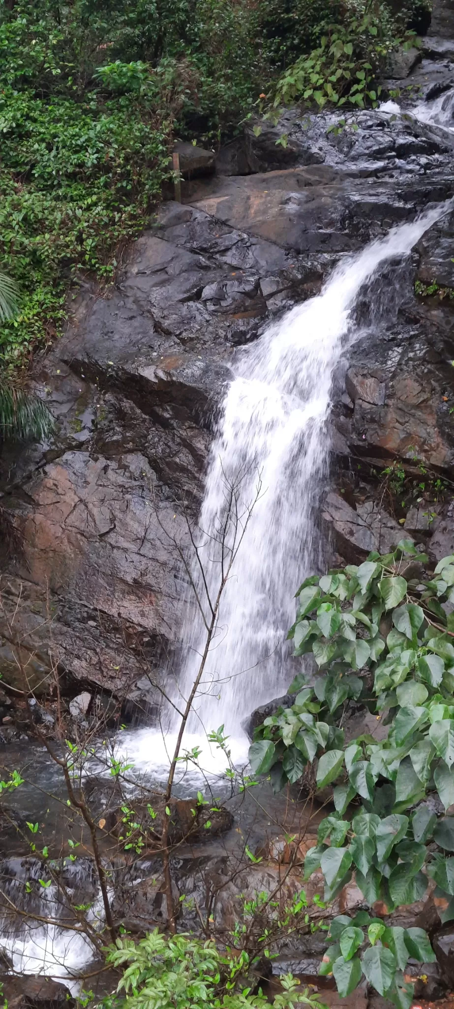 Photo of Dudhsagar Falls By Amarsingh Shinde
