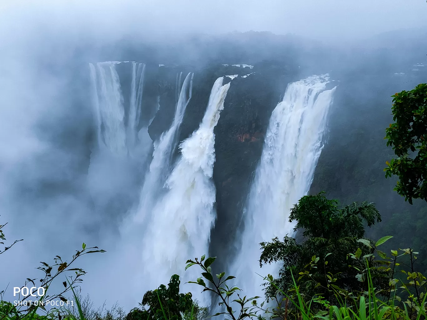 Photo of Astroport Jog Falls By Astroport India