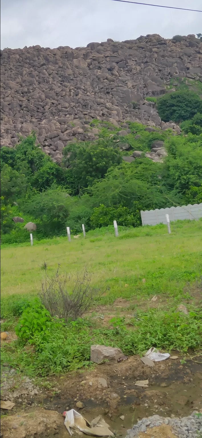 Photo of Armoor Road By Muhammad Adnan Pasha