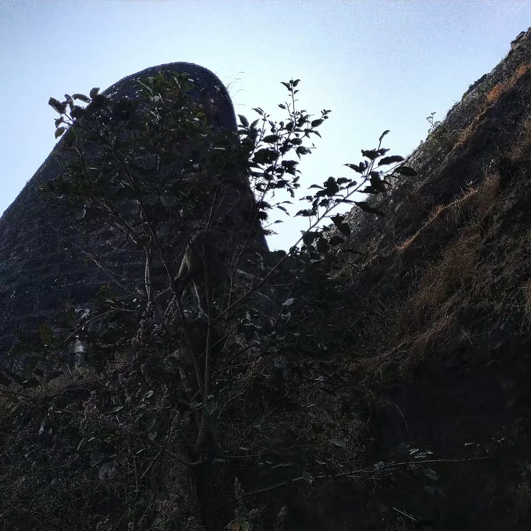 Photo of Tikona Fort (Vitandgad) By Kaushal Salunkhe