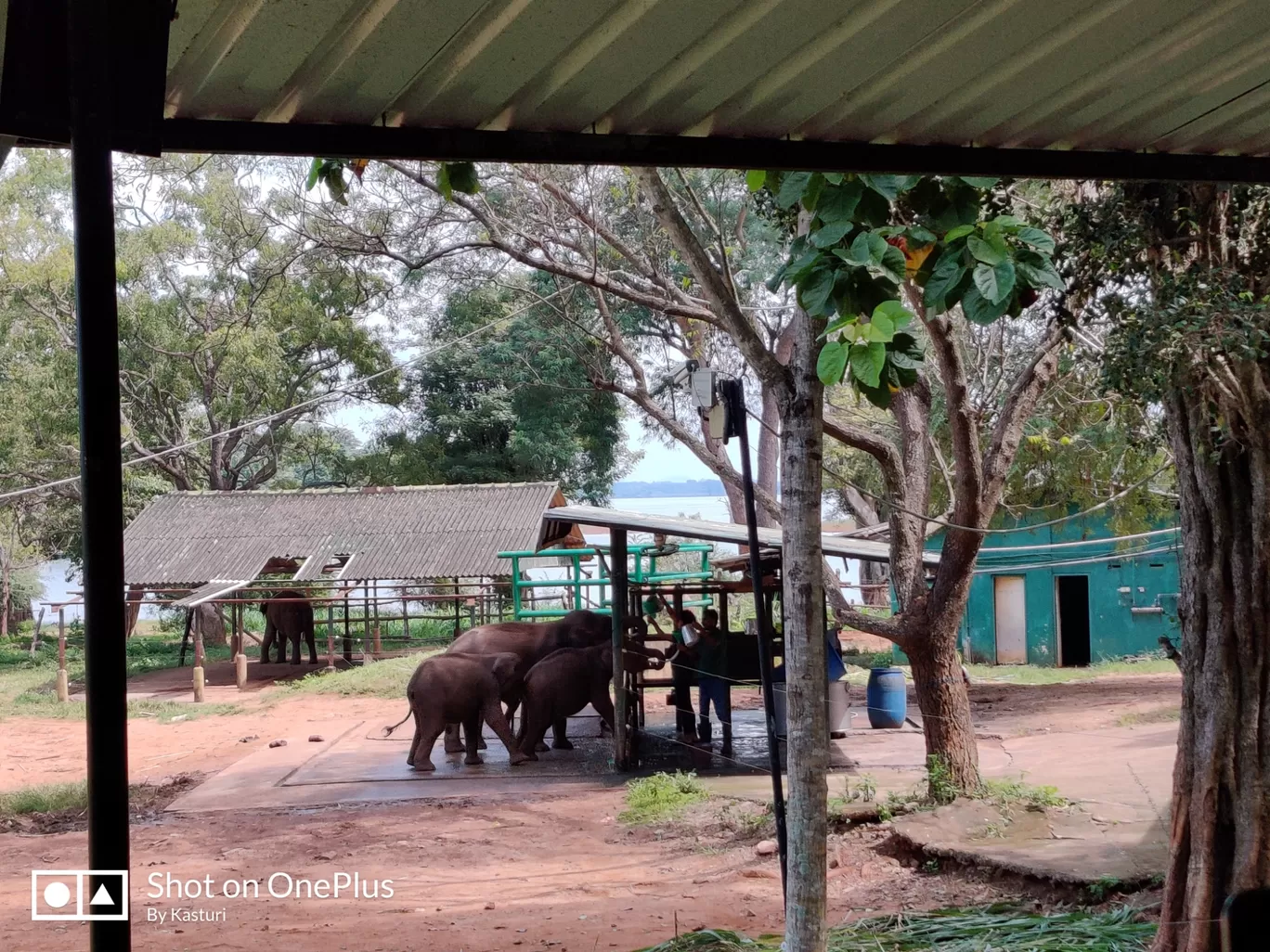 Photo of Sri Lanka By kasturi