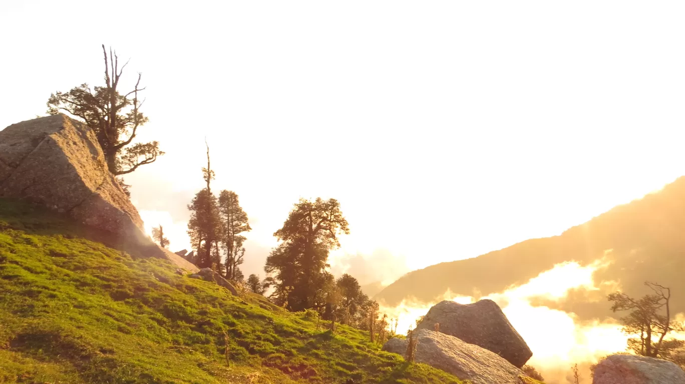 Photo of Trail to Triund Hill By Surya Aggarwal
