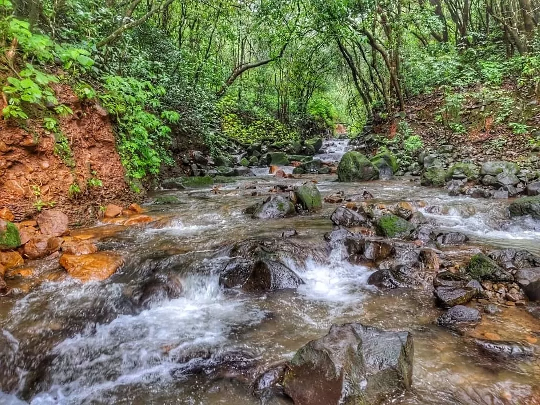 Photo of Andharban Adventures By PRANAV EKHANDE