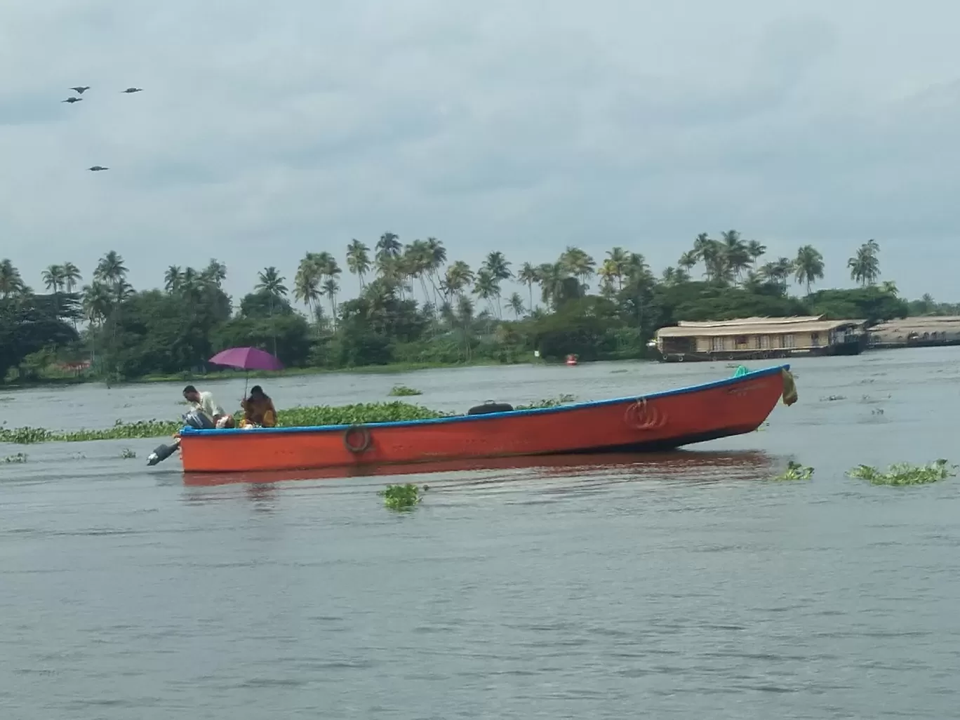 Photo of Alleppey By Prabhakar Tamilarasu