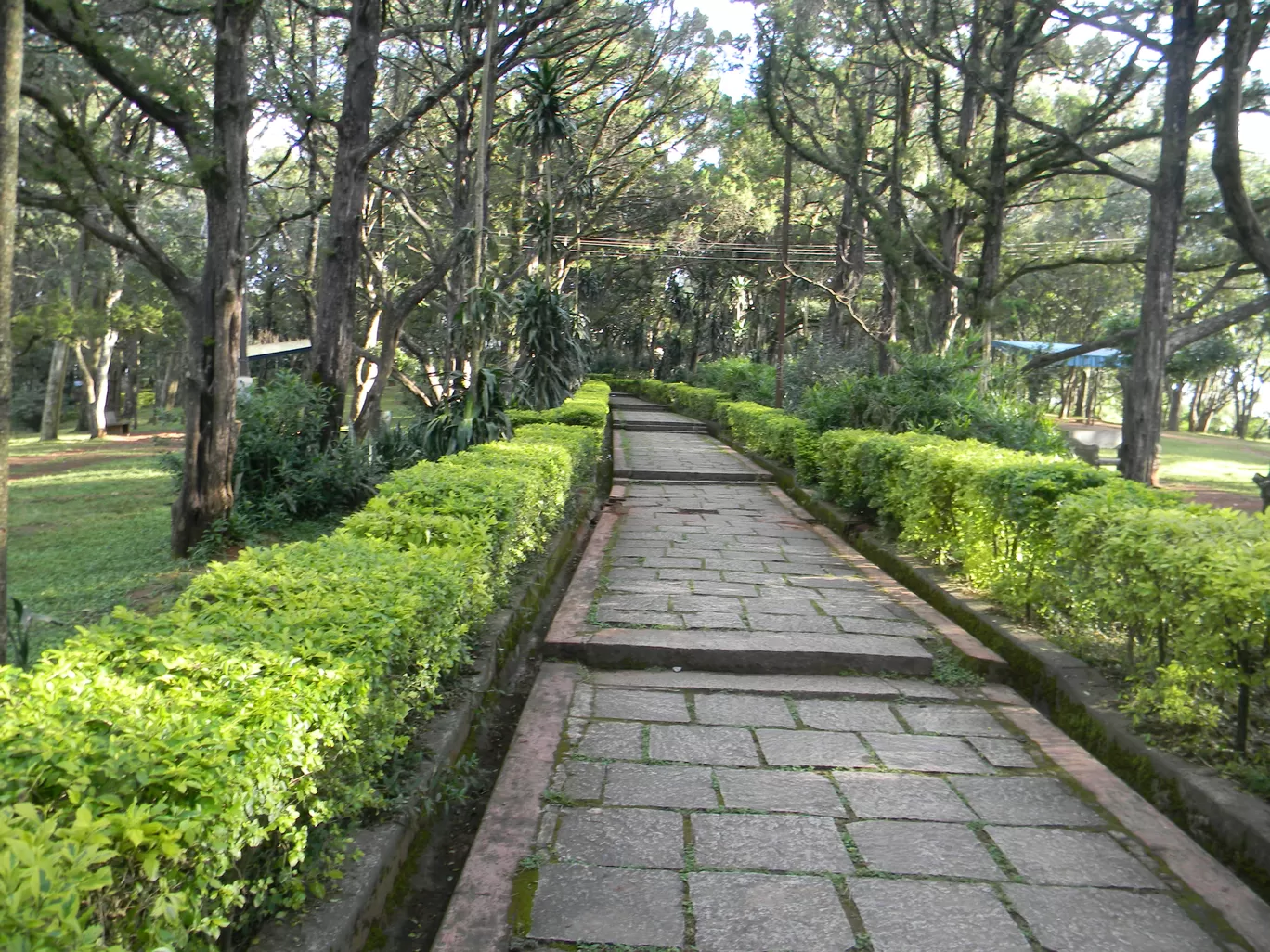 Photo of Nandi Hills By Chaitali Chatterjee