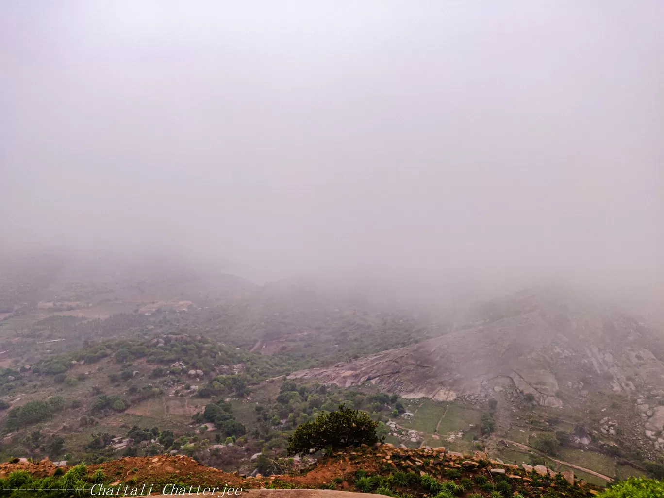 Photo of Uttari By Chaitali Chatterjee