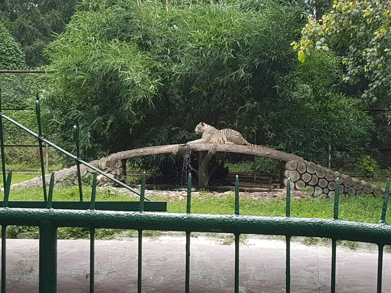 Photo of Sanjay Gandhi Biological Park By Prakash Seth