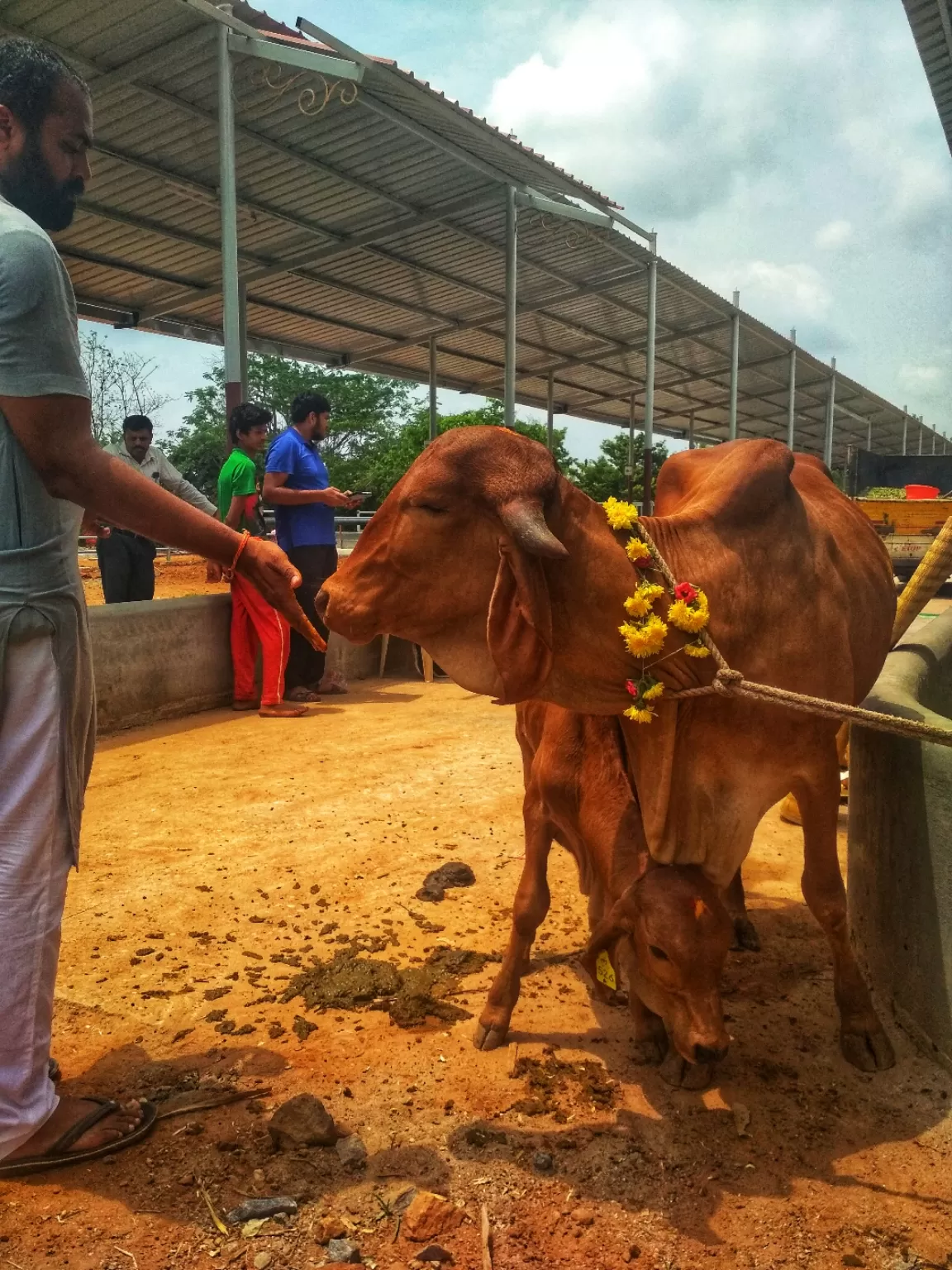 Photo of The Art of Living By Pankaj Malpa
