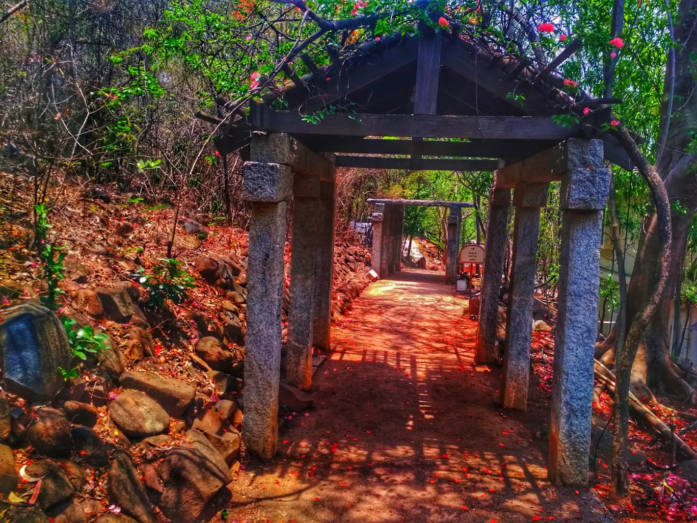 Photo of The Art of Living By Pankaj Malpa