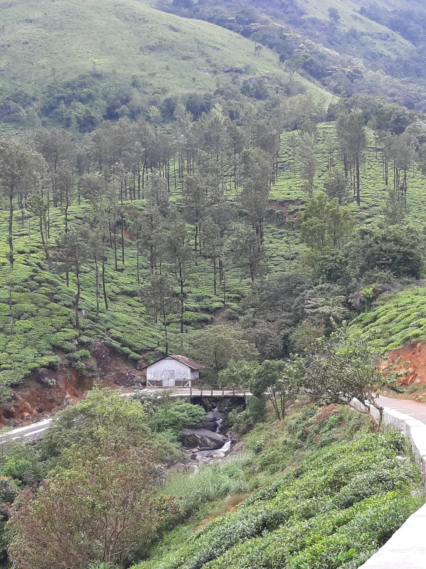 Photo of Chembra Peak By Aiswarya Ajithan 