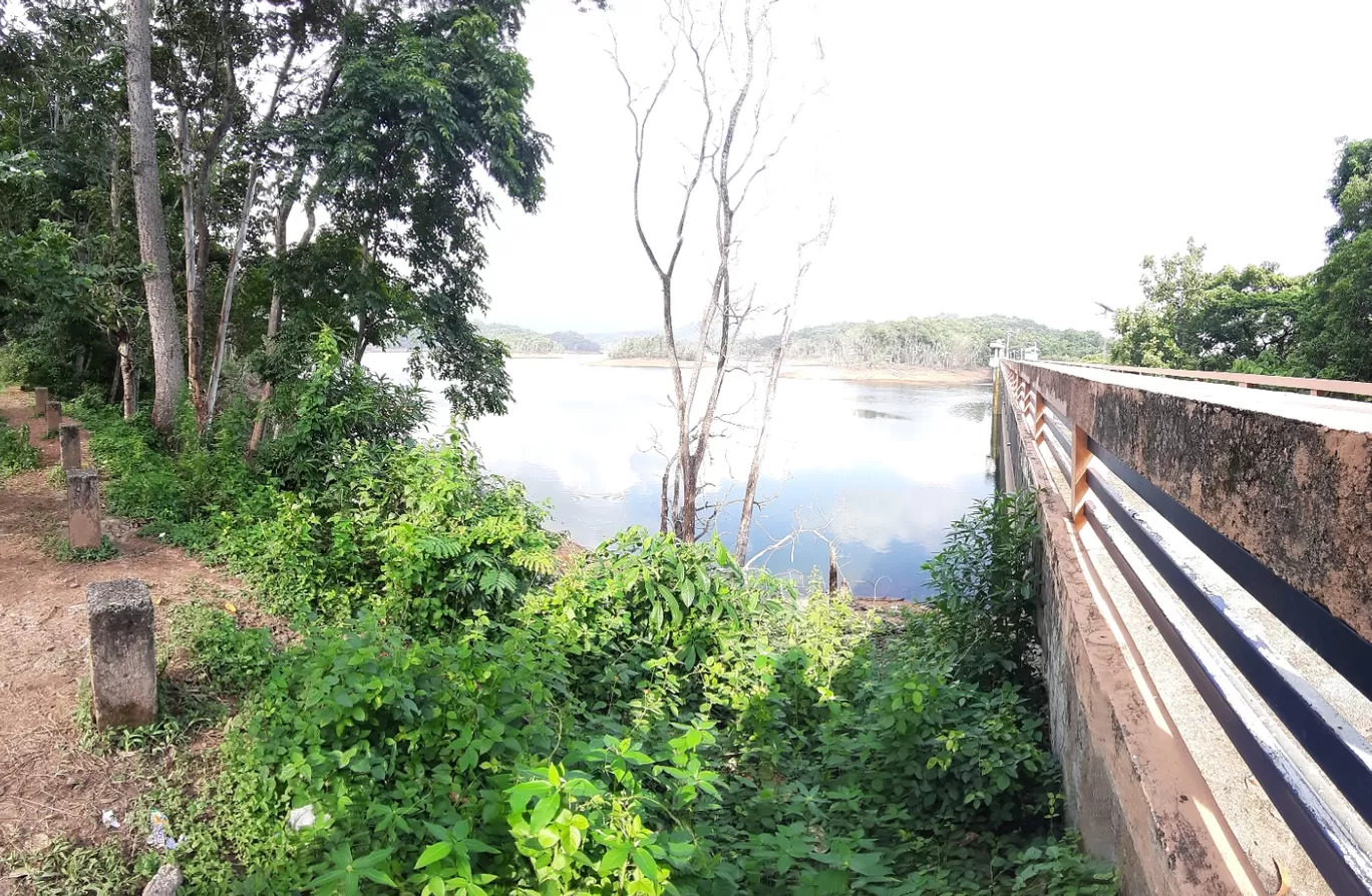 Photo of Peppara Dam and Wildlife Sanctuary. By Aiswarya Ajithan 