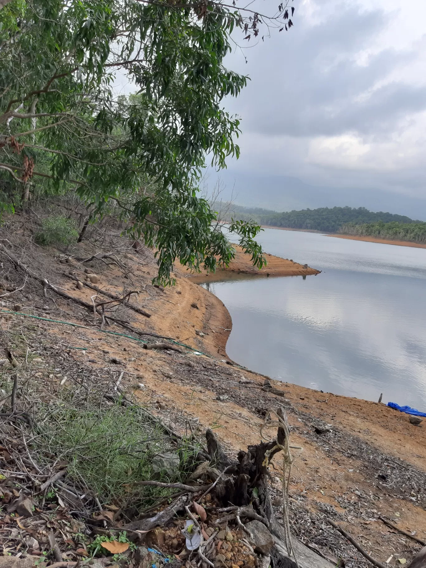 Photo of Peppara Dam and Wildlife Sanctuary. By Aiswarya Ajithan 