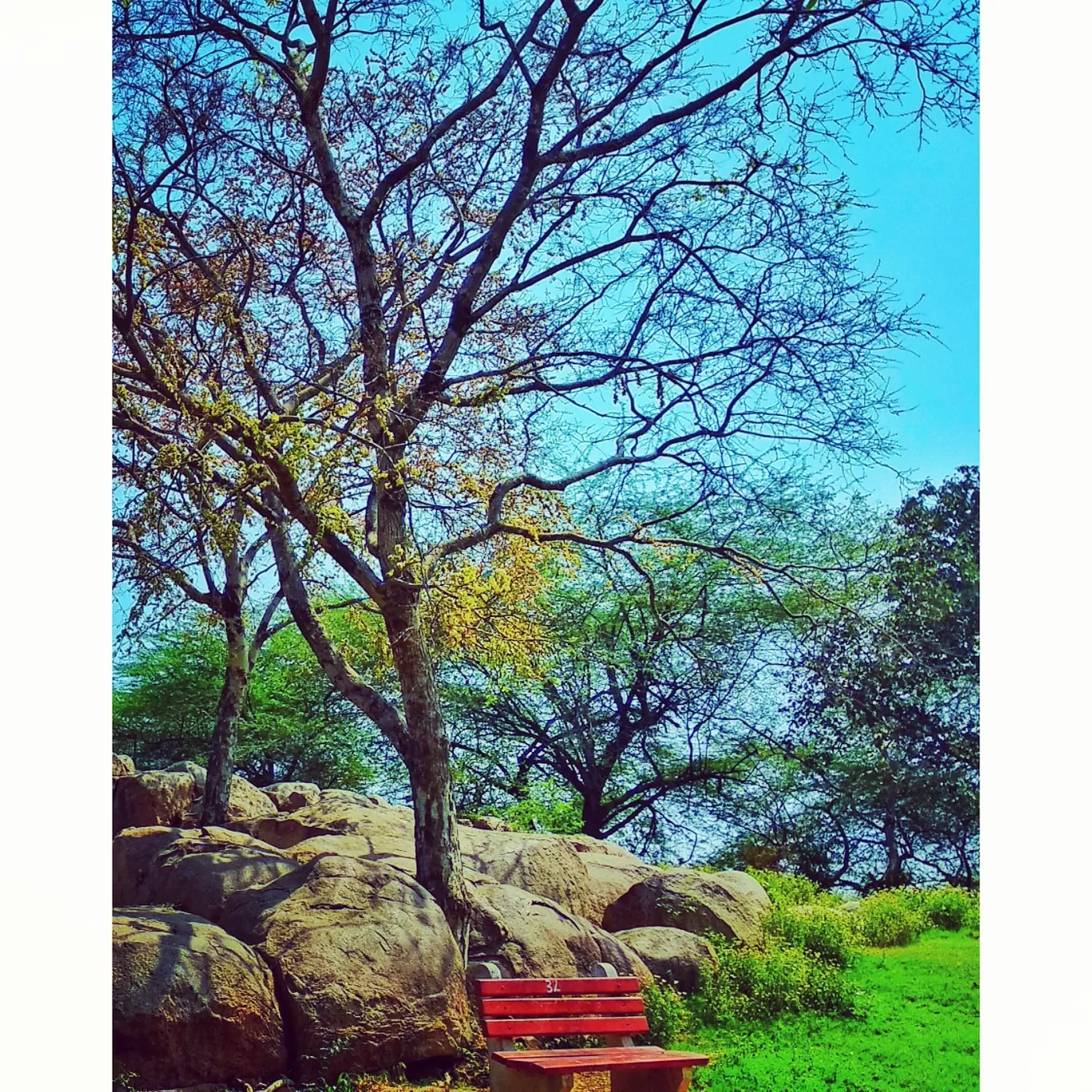 Photo of Delhi By Sourav Ghosh