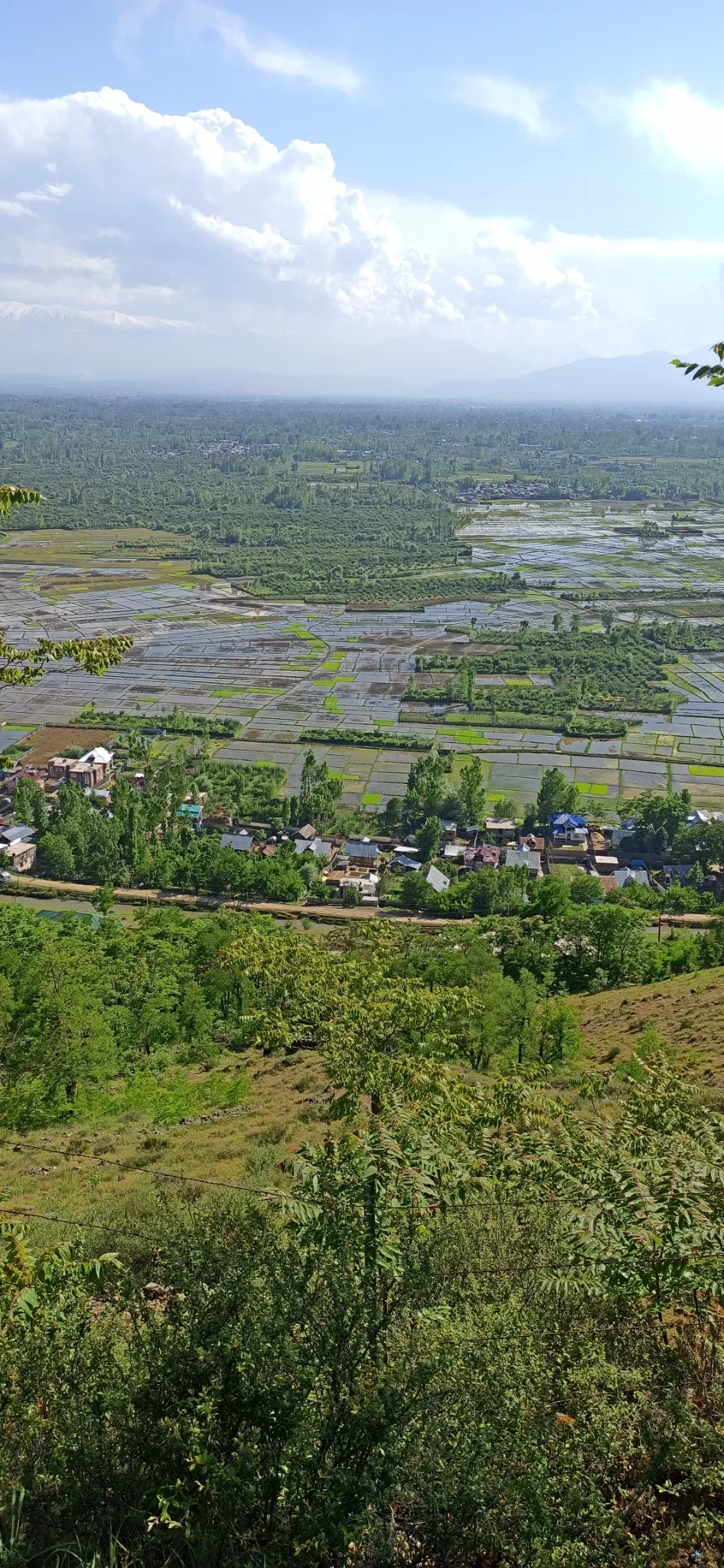 Photo of Sopore By Naveed Malik