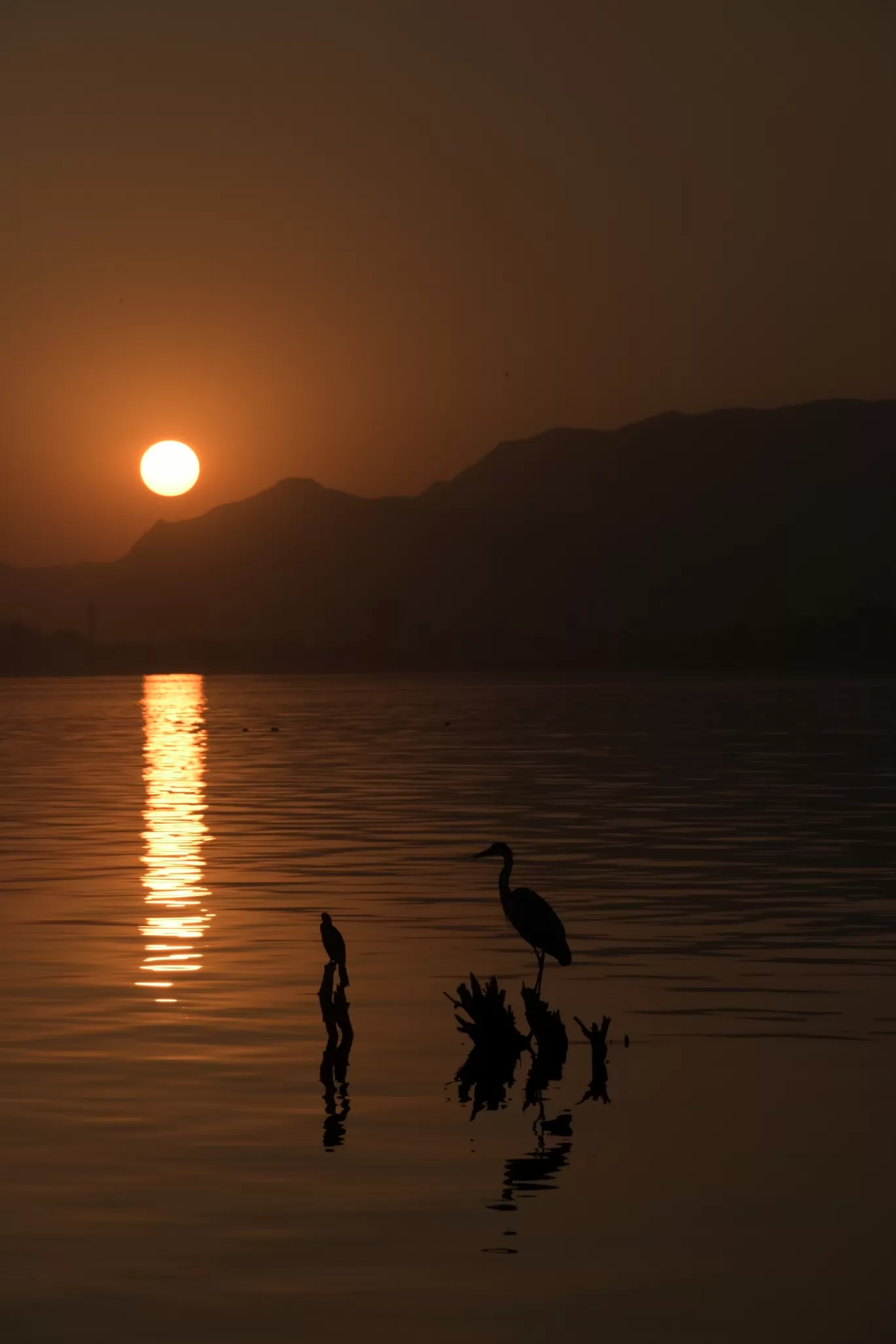 Photo of Anasagar Lake By ravee bhagat