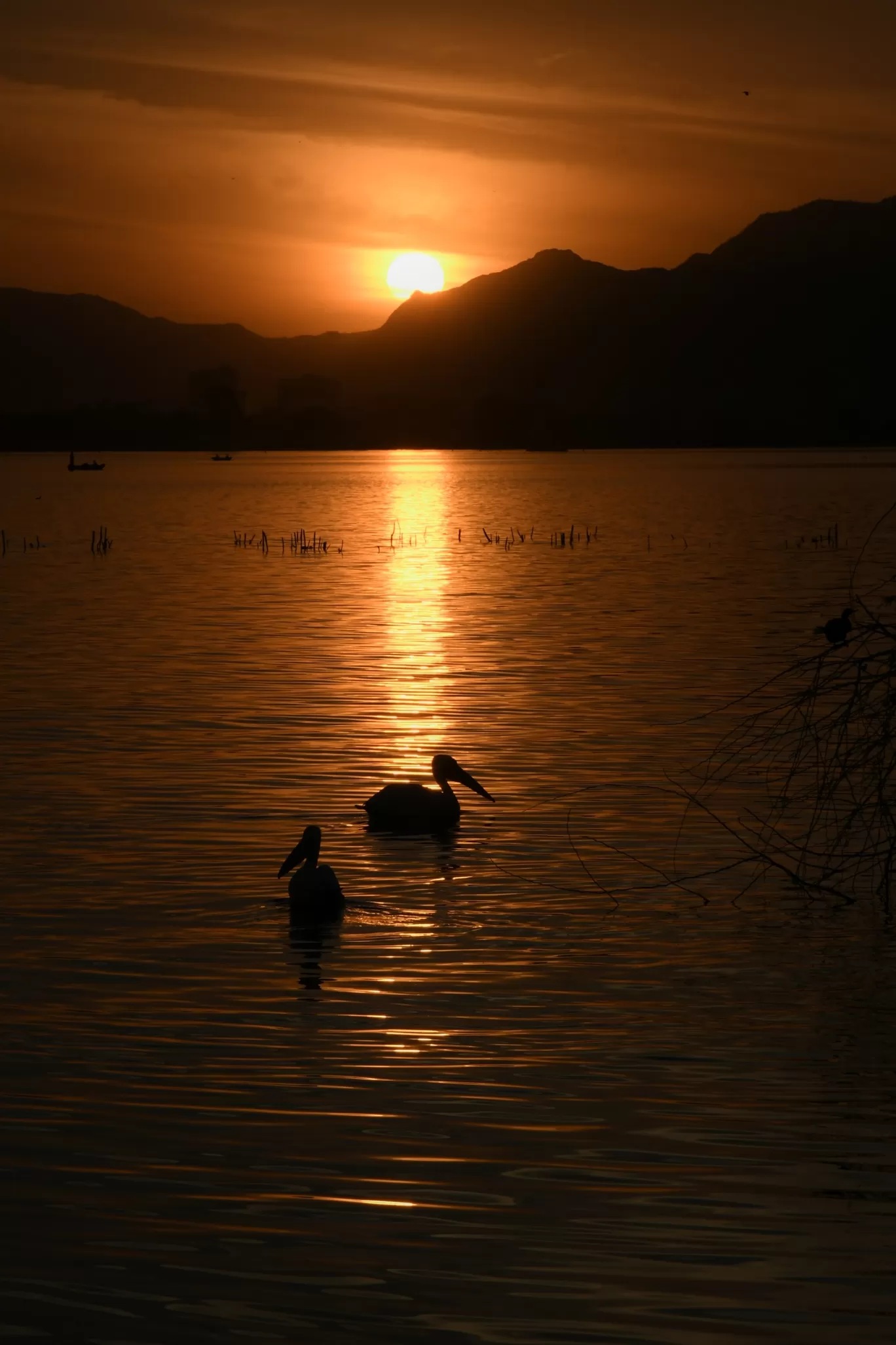 Photo of Anasagar Lake By ravee bhagat