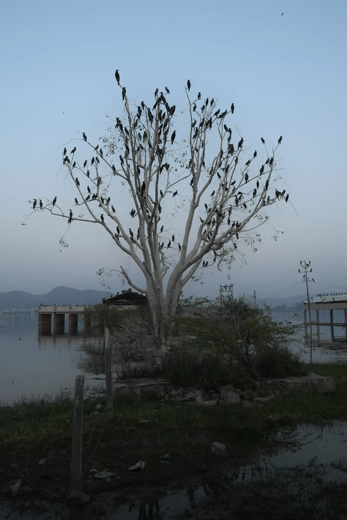 Photo of Anasagar Lake By ravee bhagat