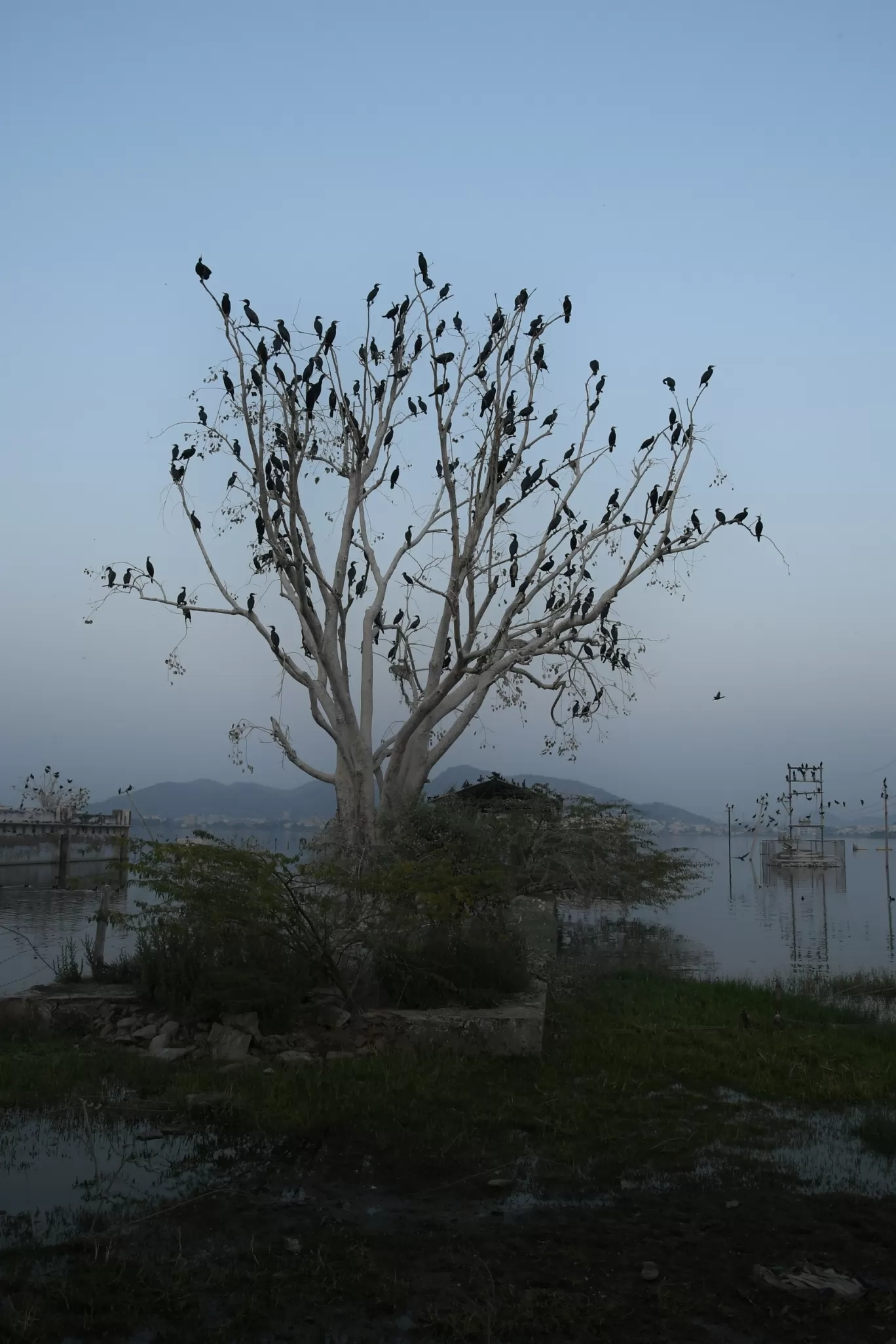 Photo of Anasagar Lake By ravee bhagat