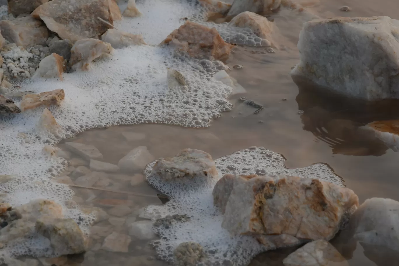 Photo of Sambhar Salt Lake By ravee bhagat