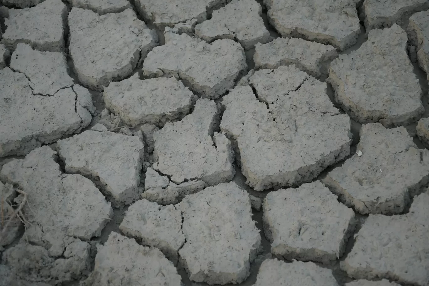 Photo of Sambhar Salt Lake By ravee bhagat