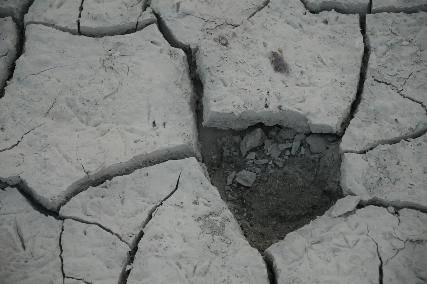 Photo of Sambhar Salt Lake By ravee bhagat