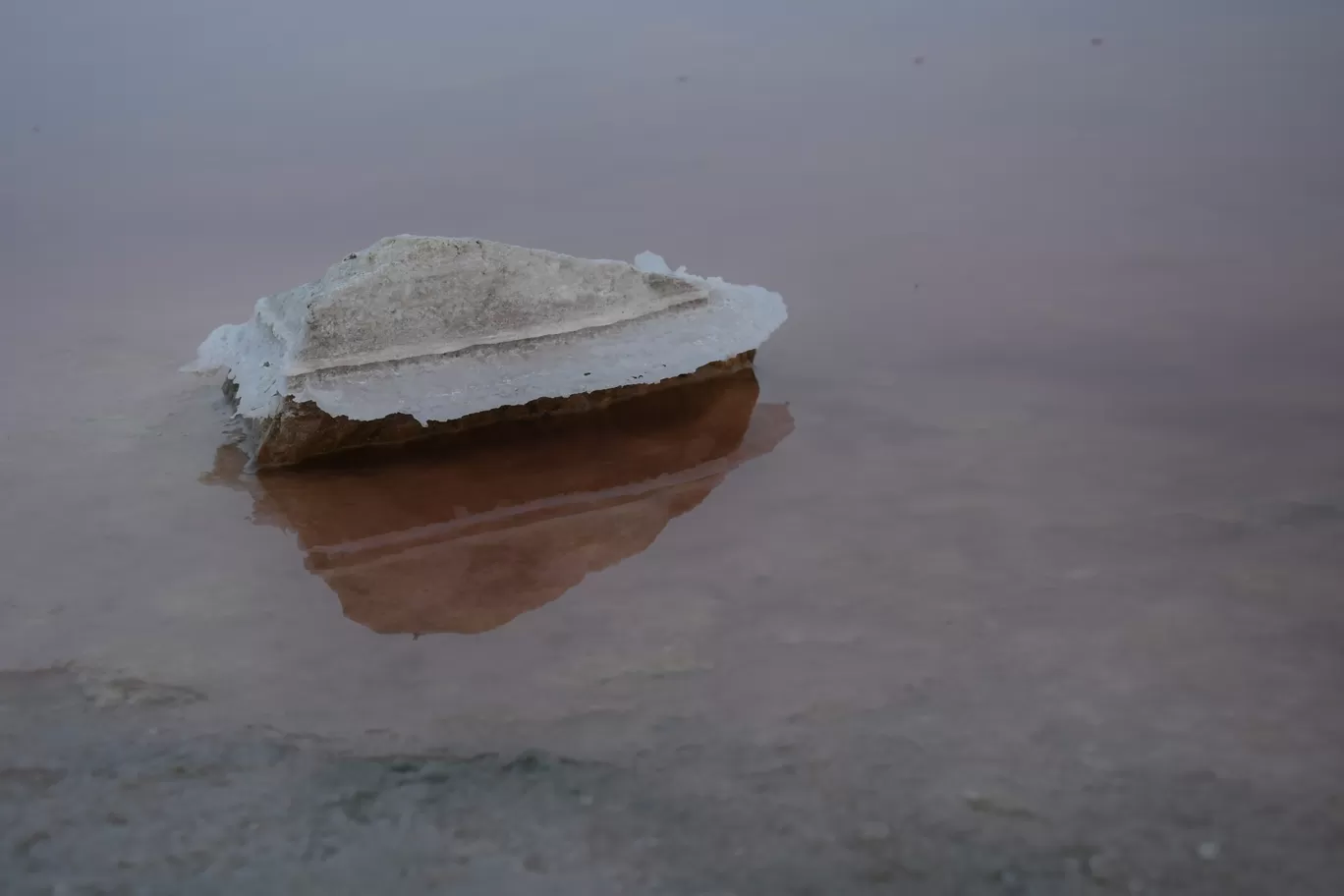 Photo of Sambhar Salt Lake By ravee bhagat