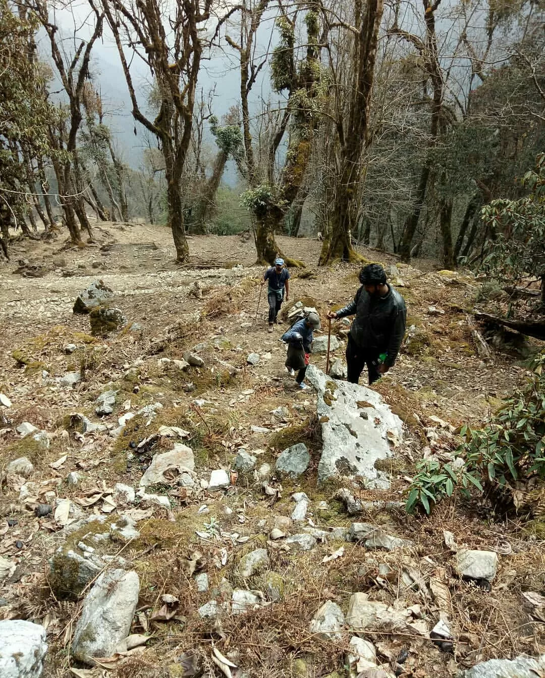 Photo of Goecha La Trek By Muhammed Farzin