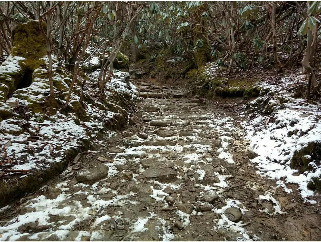 Photo of Goecha La Trek By Muhammed Farzin