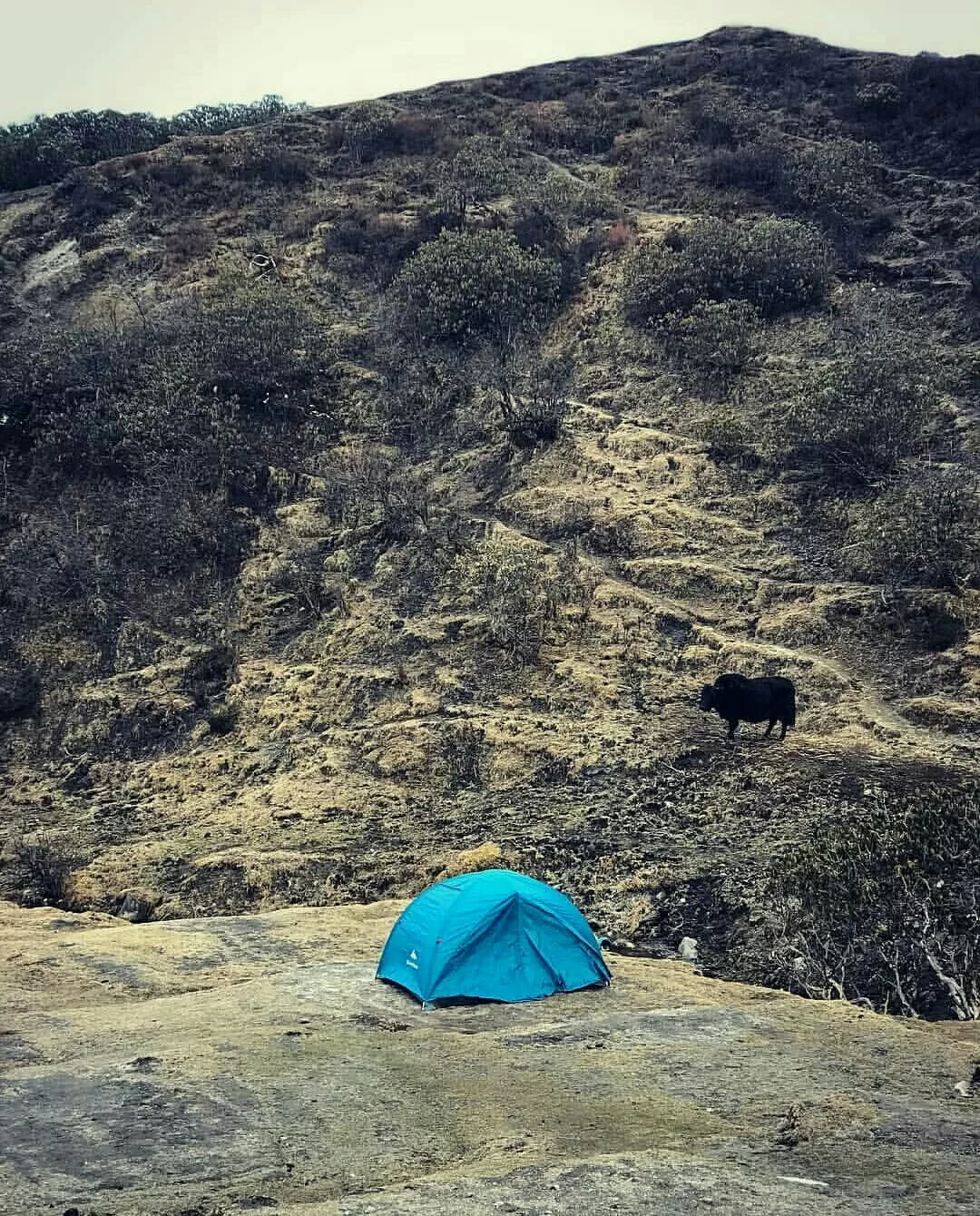 Photo of Goecha La Trek By Muhammed Farzin