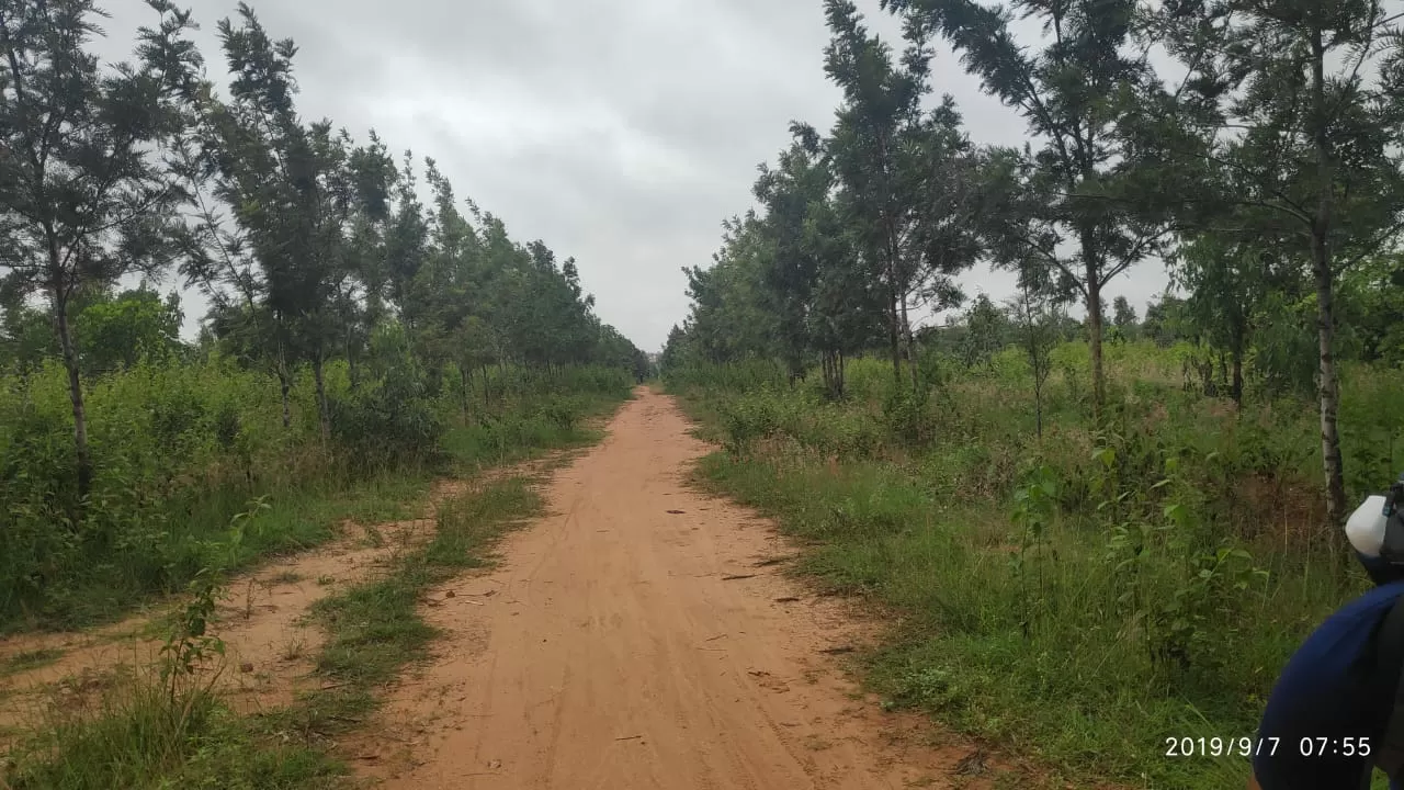 Photo of Avalahalli State Forest By Rohan P Unni