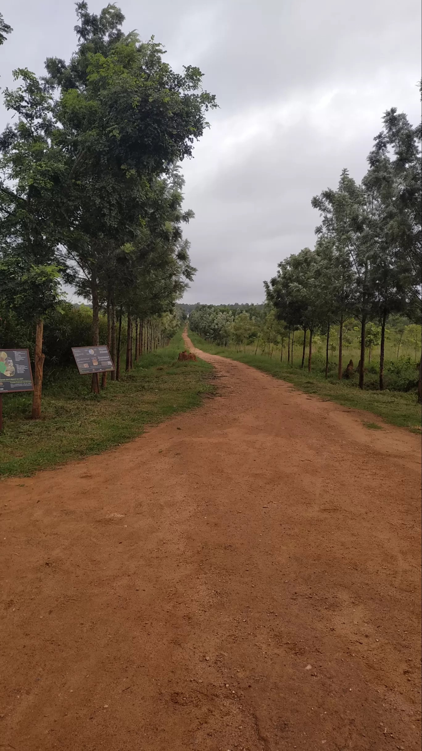 Photo of Avalahalli State Forest By Rohan P Unni
