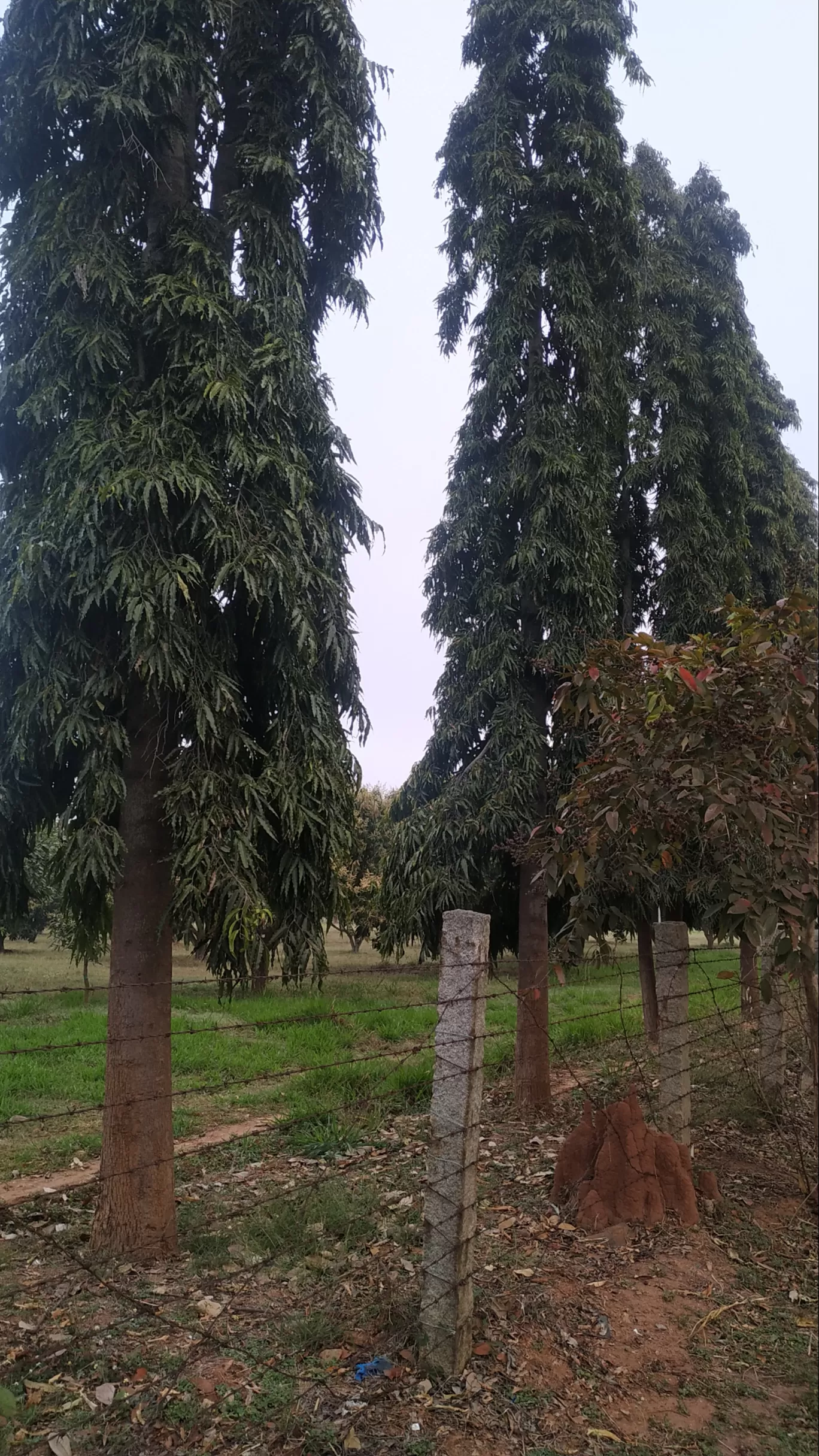 Photo of Hesaraghatta Lake By Rohan P Unni