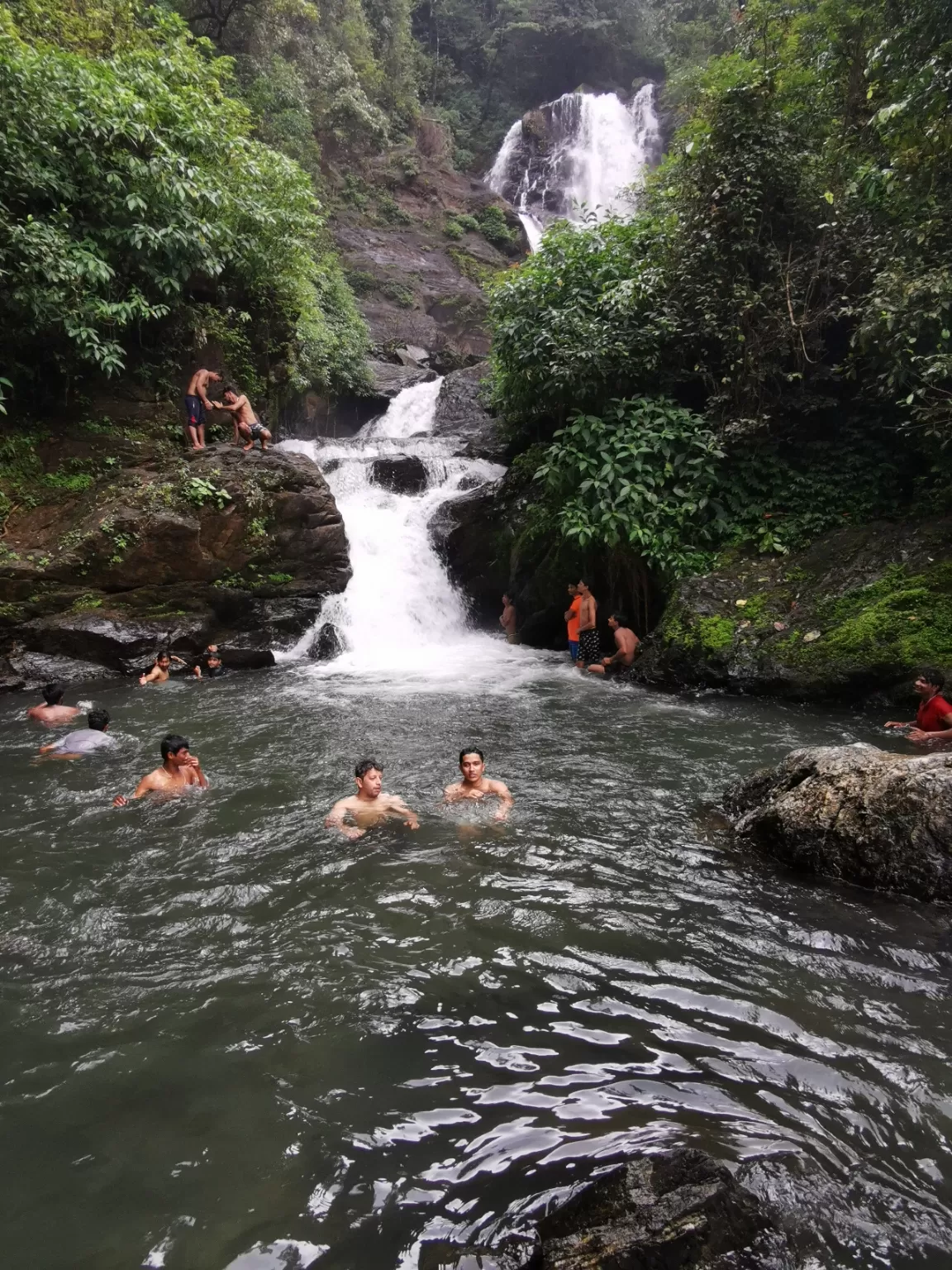 Photo of Jog Falls By Ifreed Athani