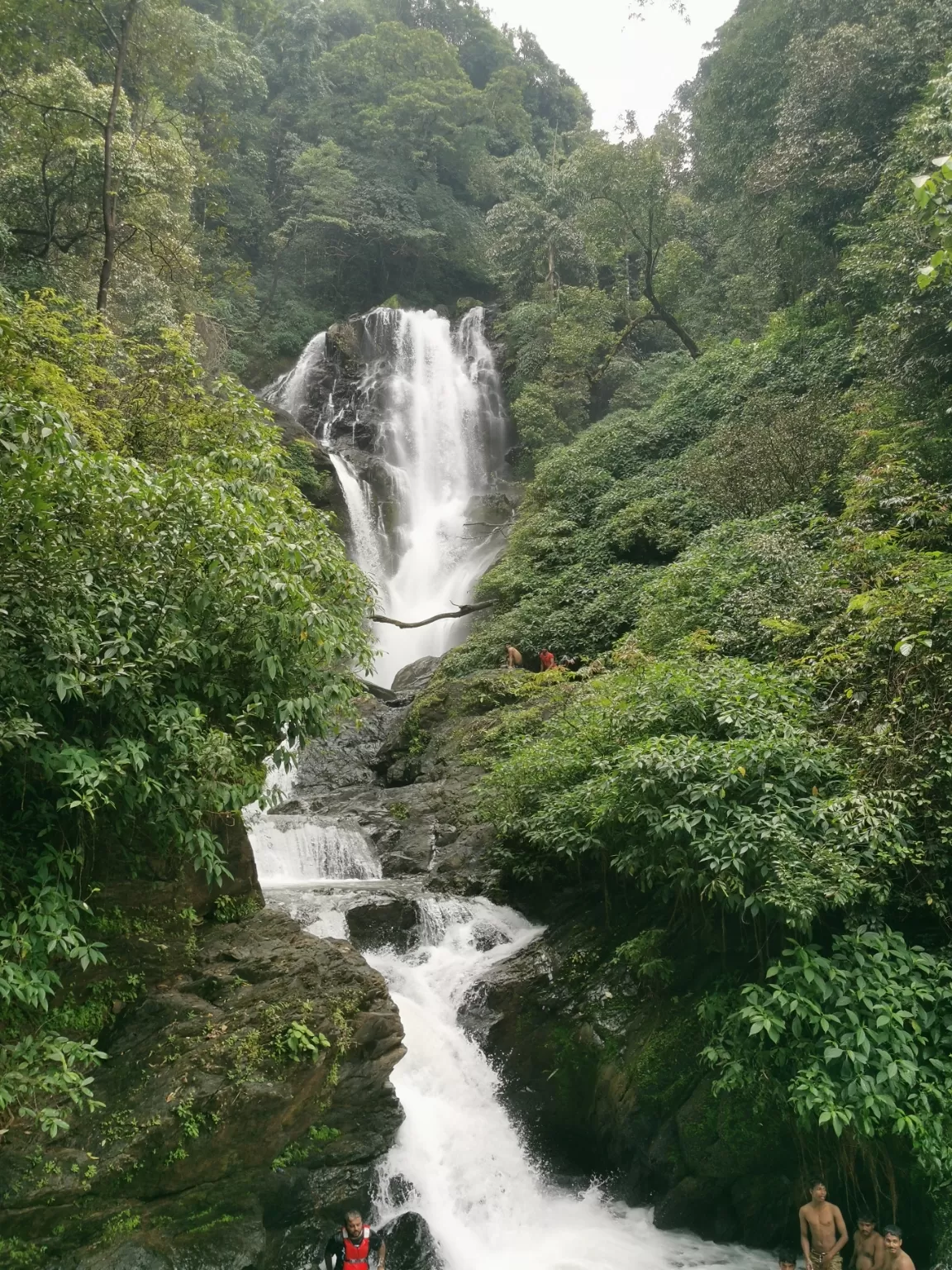 Photo of Jog Falls By Ifreed Athani