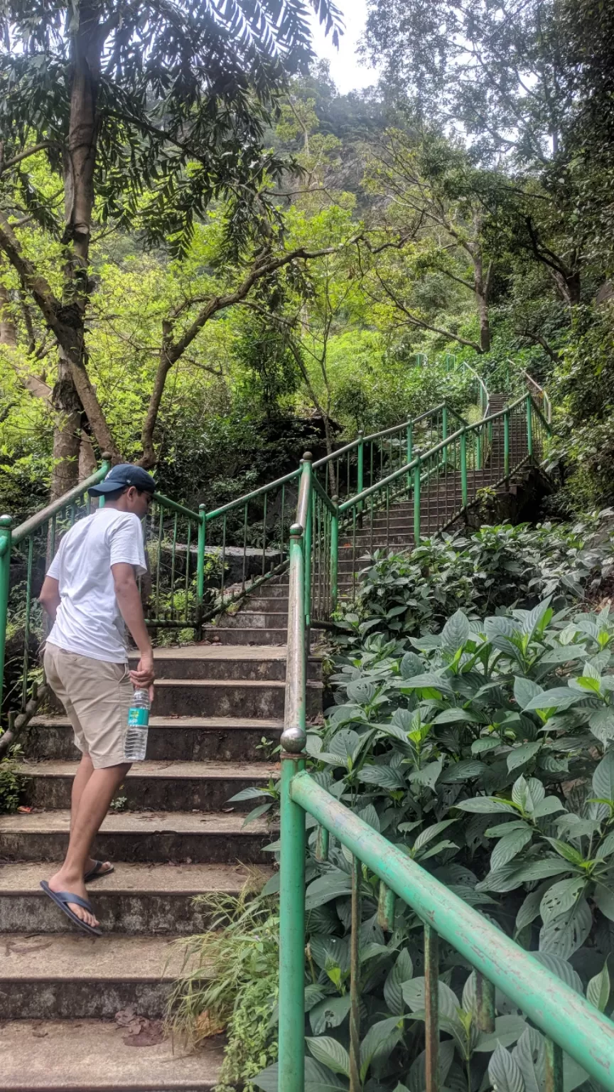 Photo of Jog Falls By Ifreed Athani
