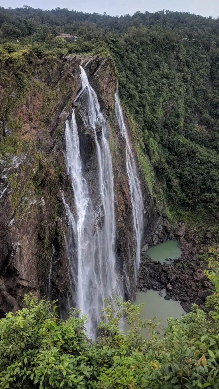 Photo of Jog Falls By Ifreed Athani
