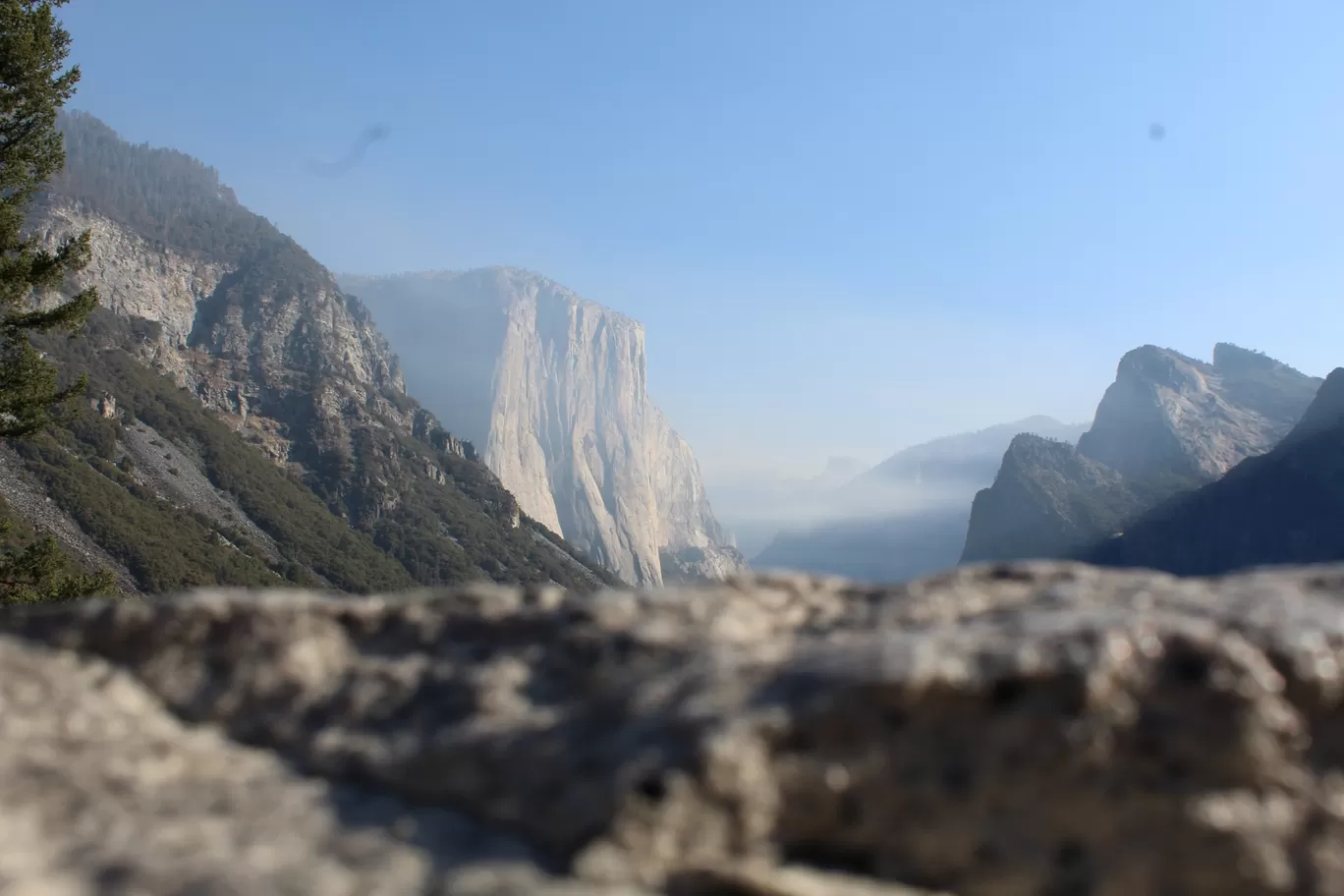 Photo of Yosemite National Park By Ifreed Athani