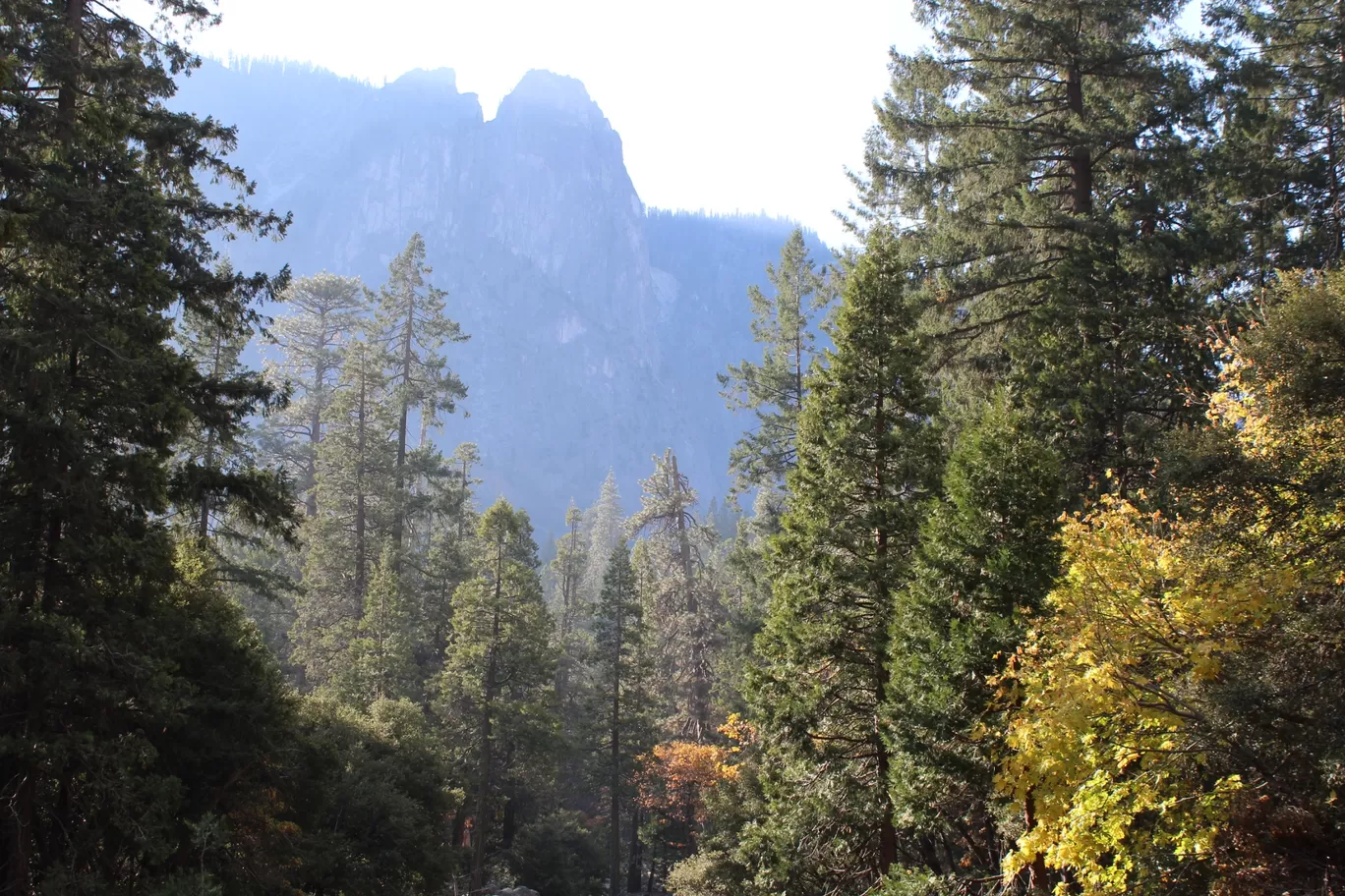 Photo of Yosemite National Park By Ifreed Athani