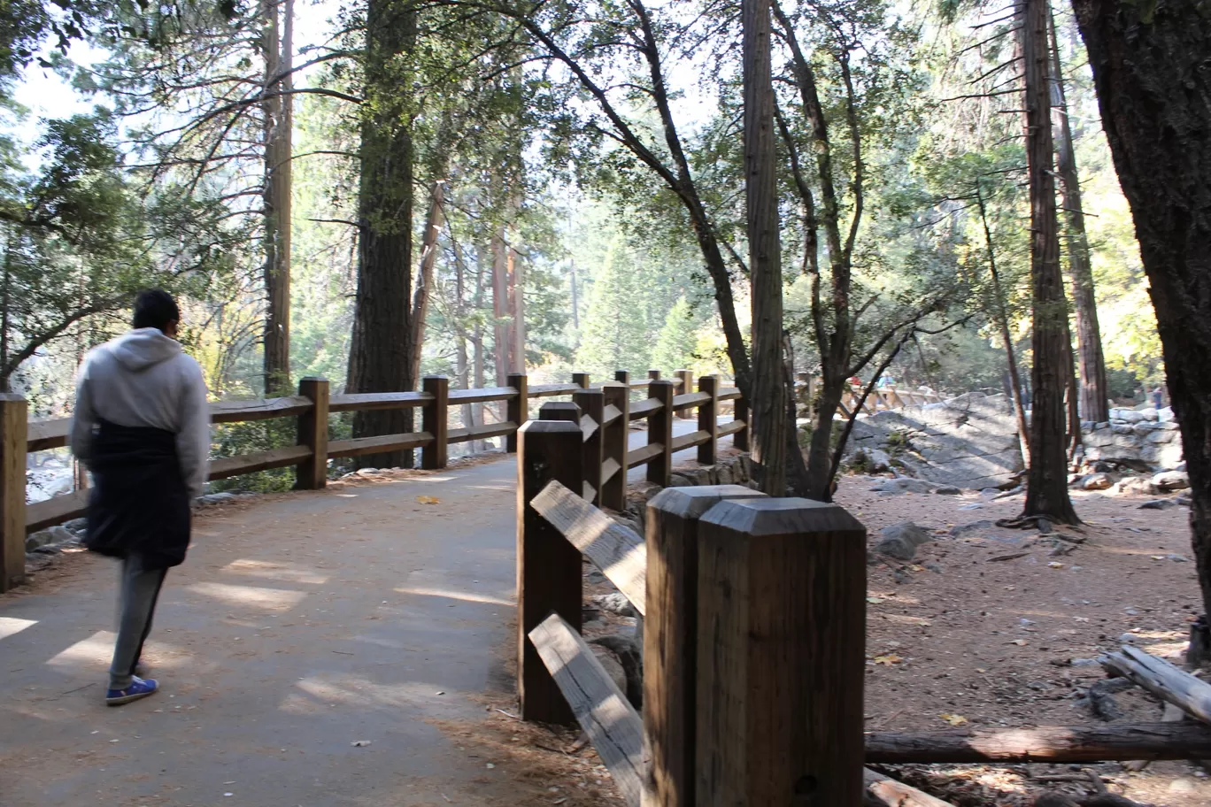 Photo of Yosemite National Park By Ifreed Athani